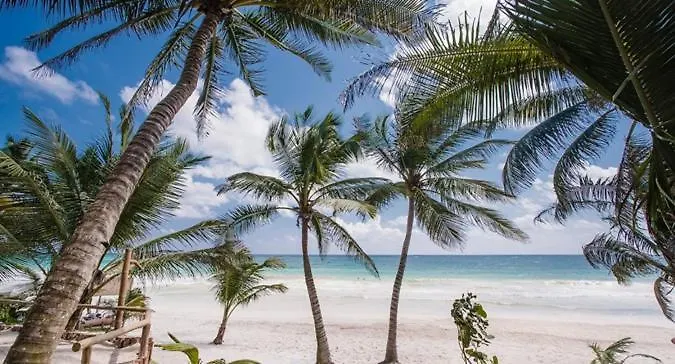 Beachfront Tulum